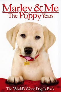 Marley & Me 2 (2011) ปีทองน้องหมาตัวกวน