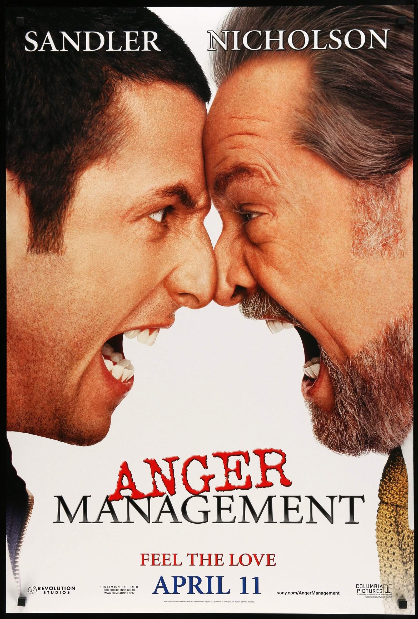 Anger Management (2003) สูตรเด็ด เพชฌฆาตความเครียด