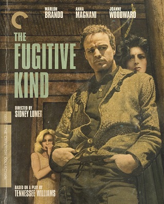 The Fugitive Kind (1960) บรรยายไทย