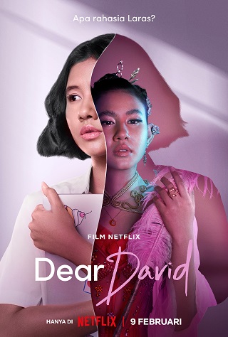Dear David | Netflix (2023) เดวิดที่รัก